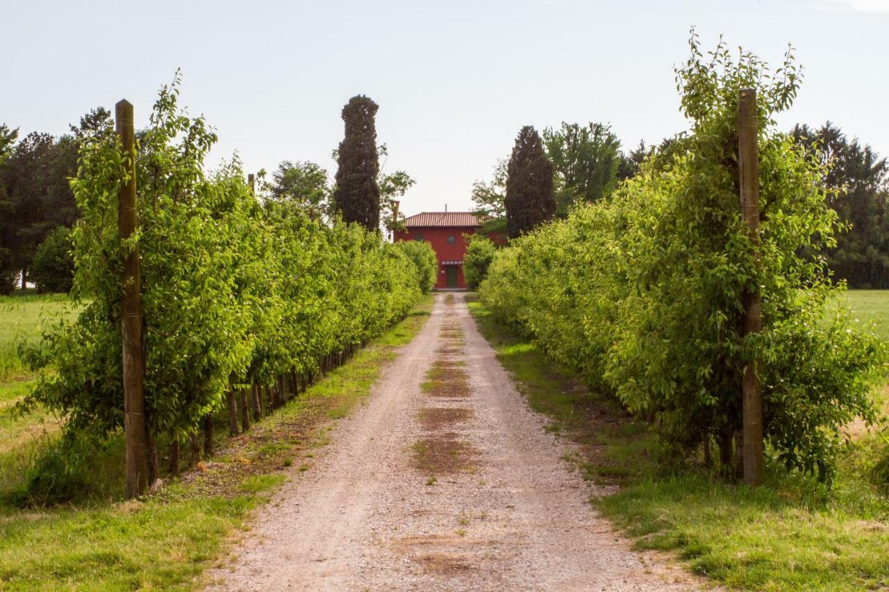La Centuria Societa Agricola Casa Vacanze Terzo d' Aquileia 외부 사진